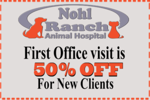 Pet Clinic Coupons and offers