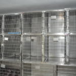 Nohl Ranch Animal Hospital in Orange, CA | treatment cages