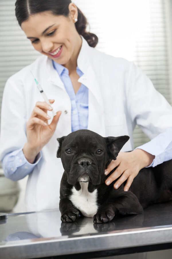 Pets Vaccines