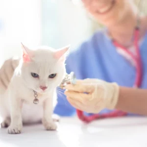 FeLV Vaccine