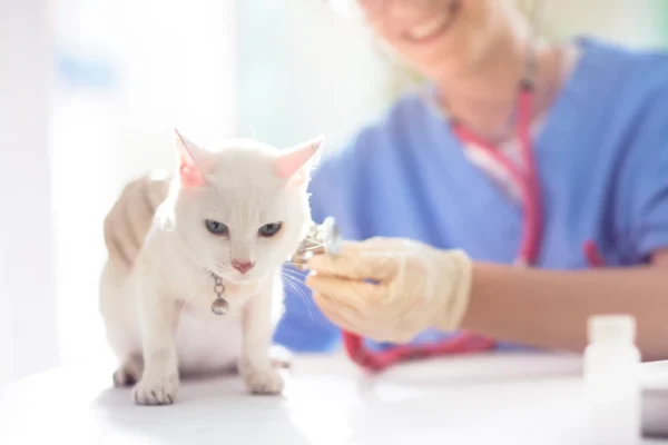 FeLV Vaccine