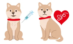 Heartworm Prevention and Testing