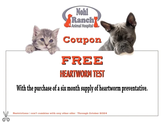 pet-clinic-coupons-and-offers