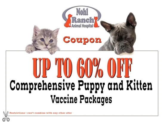 Essential Vaccines for Puppies and Kittens