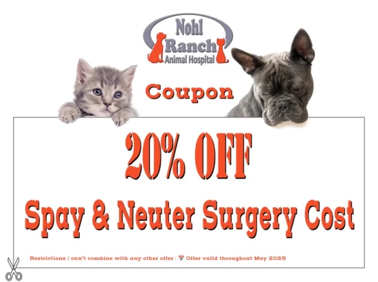 Spay&Nuter Coupon