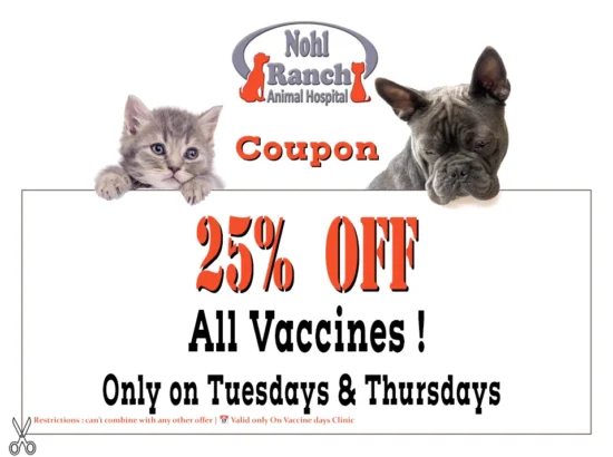Pet Clinic Coupons and Offers