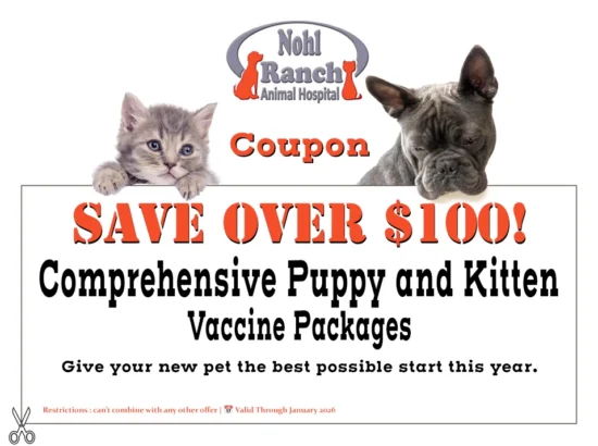 Pet Clinic Coupons and Offers