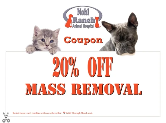 Pet hospital Coupon