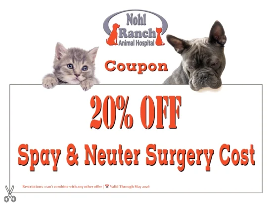 NRAH 2026 Spay & Neuter May Coupon Pet Clinic Coupons and Offers