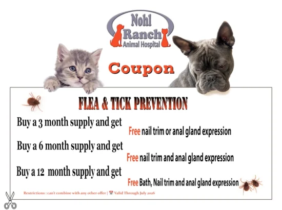 Pet Clinic Coupons and Offers