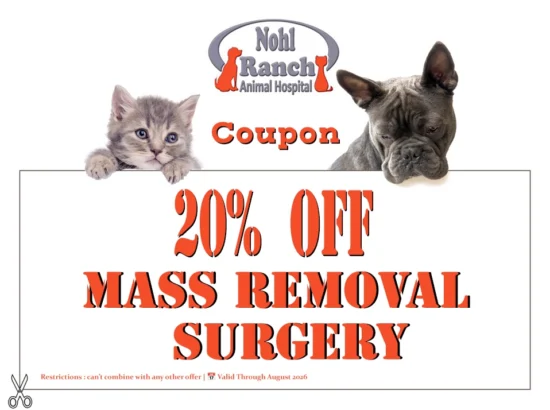 Pet hospital Coupon