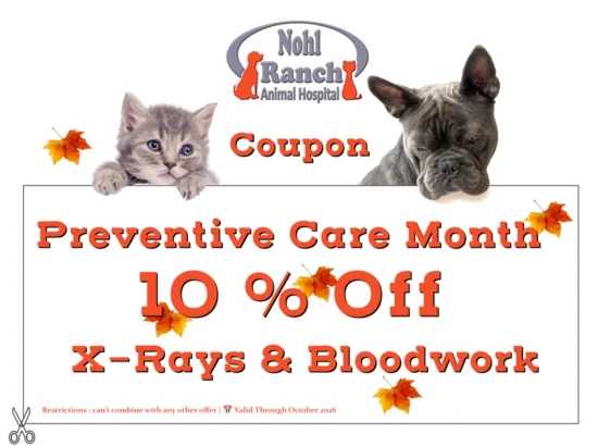 Preventive Care Offer